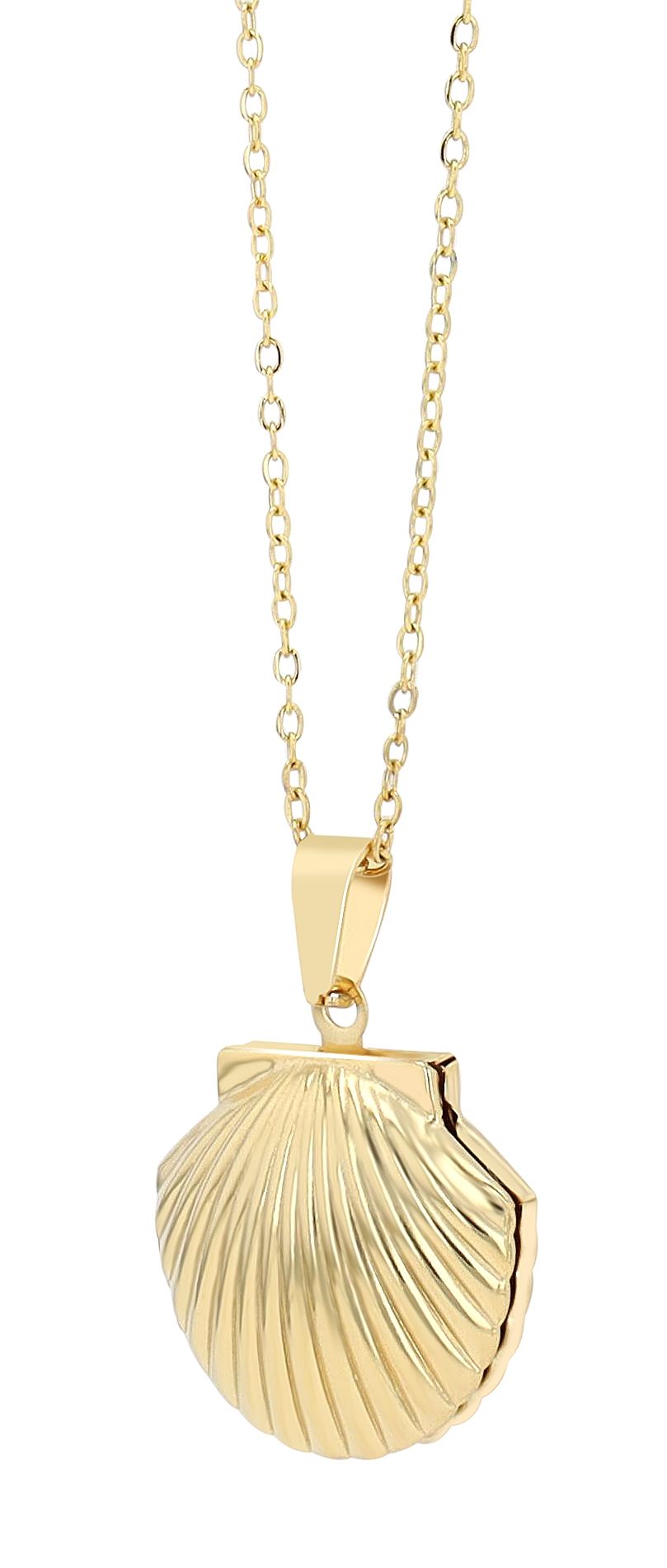 "Gilda", Akzent Halskette mit Medaillon in Muschelform, Edelstahl, goldfarben